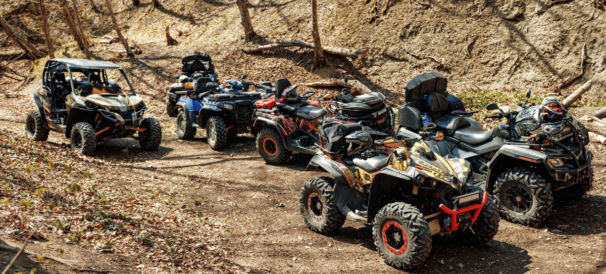 Balade en quad dans la Palmeraie de Marrakech