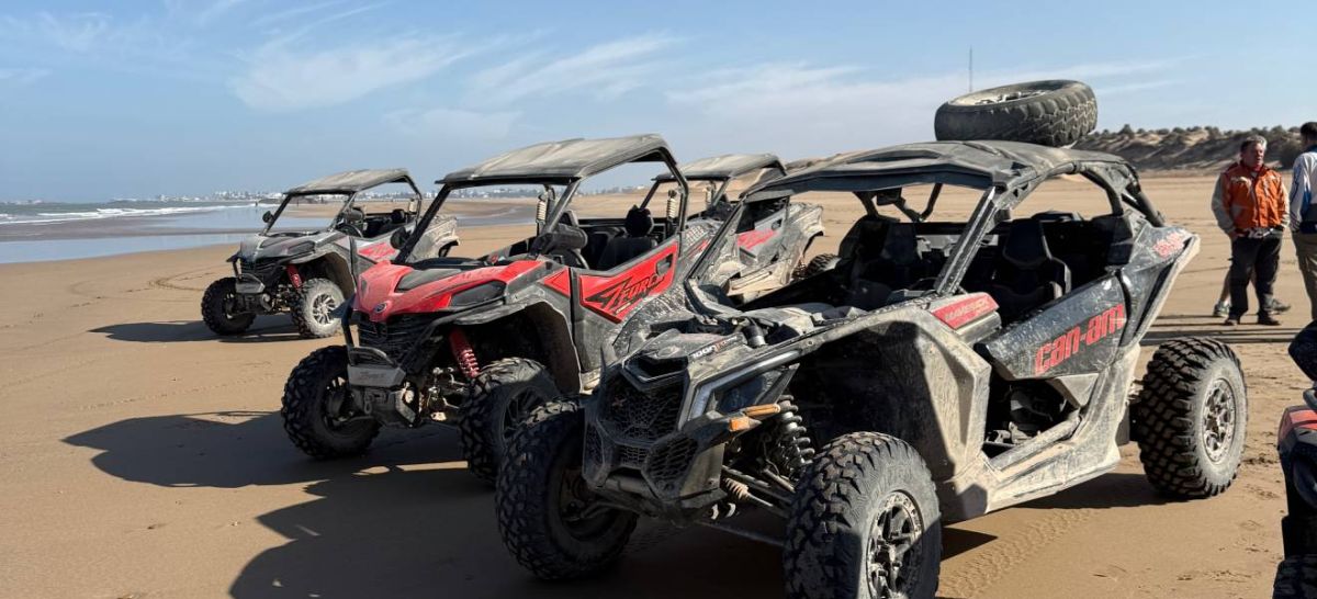 buggy sur sable près de l’océan
