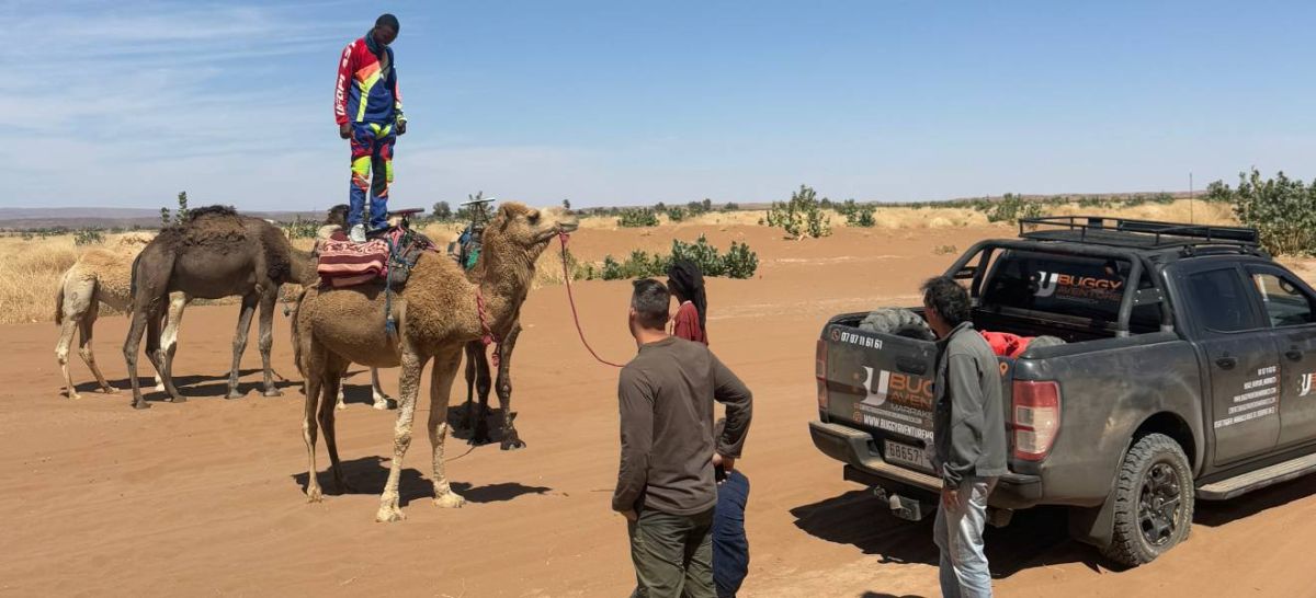 buggy dans la palmeraie de Marrakech