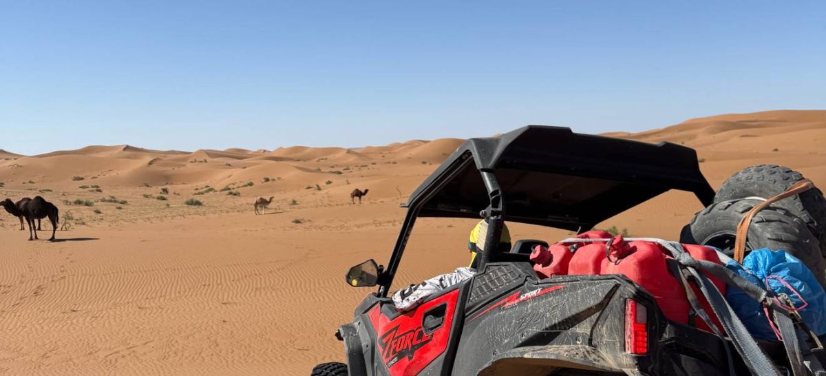 quad dans la palmeraie avec vue sur l’Atlas